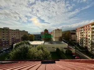 Prodej bytu 4+1, Litvínov - Horní Litvínov, U Zámeckého parku, 145 m2