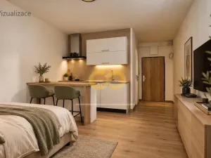 Prodej bytu 1+kk, Prachatice, nám. Přátelství, 20 m2