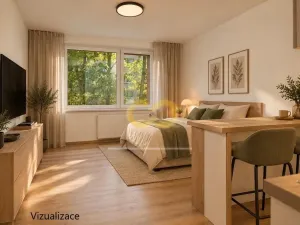Prodej bytu 1+kk, Prachatice, nám. Přátelství, 20 m2