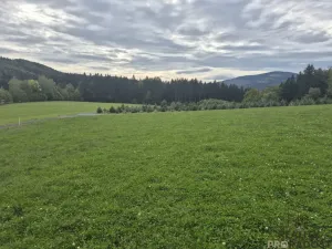 Prodej pozemku pro bydlení, Písek, 1631 m2