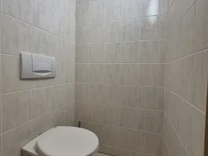 Pronájem bytu 2+1, České Budějovice, nám. Přemysla Otakara II., 80 m2