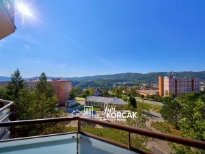 Prodej bytu 3+1, Blansko, Jasanová, 75 m2