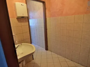 Pronájem restaurace, Čisovice, 181 m2