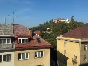 Pronájem kanceláře, Brno, Husova, 24 m2