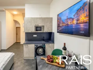 Pronájem bytu 1+kk, Brno - Brno-město, Bašty, 33 m2