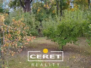 Prodej rodinného domu, Nové Sedlo, Hlavní, 108 m2