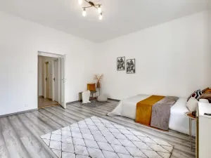 Prodej bytu 1+1, Praha - Žižkov, Pod lipami, 44 m2