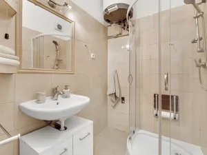Prodej bytu 1+1, Praha - Žižkov, Pod lipami, 44 m2