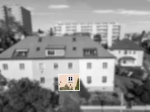 Prodej bytu 1+1, Praha - Žižkov, Pod lipami, 44 m2