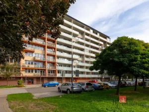 Prodej bytu 1+1, Opava - Kateřinky, Grudova, 30 m2