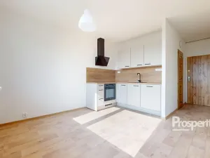 Pronájem bytu 1+1, Ústí nad Labem - Severní Terasa, Kmochova, 33 m2