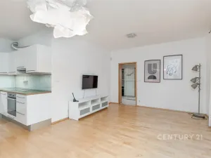 Prodej bytu 2+kk, Praha - Záběhlice, Mattioliho, 56 m2
