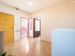 Prodej bytu 2+1, Blížkovice, 55 m2