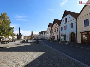 Pronájem bytu 1+1, Planá, náměstí Svobody, 40 m2