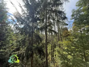 Prodej chaty, Malá Hraštice, 40 m2