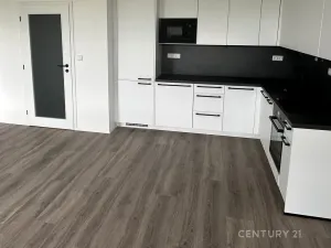 Pronájem bytu 2+kk, Plzeň, Františka Kováříka, 61 m2