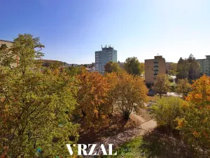 Prodej bytu 3+1, Plzeň, Partyzánská, 66 m2