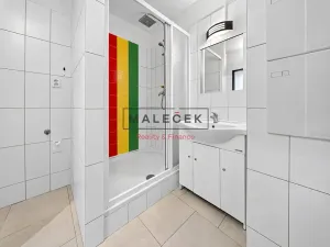 Prodej bytu 2+1, Slaný, Arbesova, 52 m2