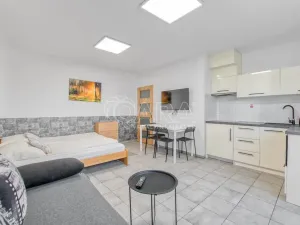 Pronájem bytu 1+kk, Trojanovice, 32 m2