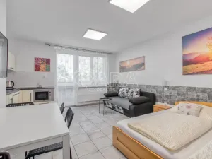 Pronájem bytu 1+kk, Trojanovice, 32 m2