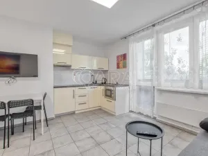 Pronájem bytu 1+kk, Trojanovice, 32 m2