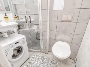 Pronájem bytu 1+kk, Trojanovice, 32 m2