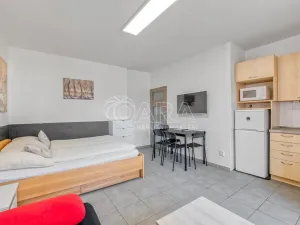 Pronájem bytu 1+kk, Trojanovice, 32 m2
