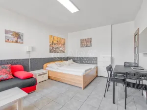 Pronájem bytu 1+kk, Trojanovice, 32 m2
