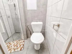 Pronájem bytu 1+kk, Trojanovice, 32 m2