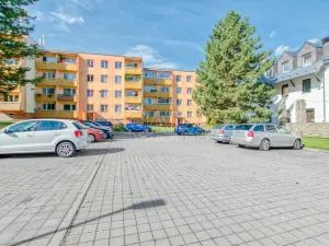 Pronájem bytu 1+kk, Trojanovice, 32 m2