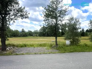 Prodej pozemku, Nepomuk, 10061 m2