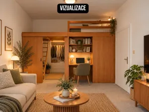 Pronájem bytu 1+1, Olomouc, Dukelská, 45 m2