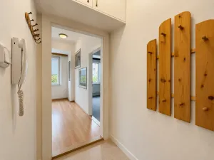 Pronájem bytu 1+1, Olomouc, Dukelská, 45 m2