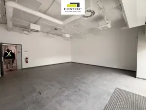 Pronájem výrobních prostor, Zápy, Královická, 1331 m2