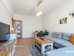 Pronájem bytu 2+1, Plzeň - Východní Předměstí, Francouzská třída, 56 m2