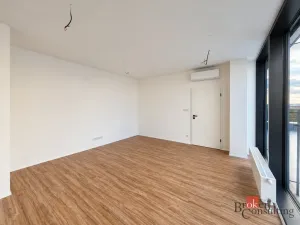 Prodej bytu 2+kk, Plzeň - Jižní Předměstí, Železná, 103 m2