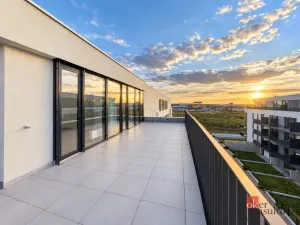 Prodej bytu 2+kk, Plzeň - Jižní Předměstí, Železná, 103 m2