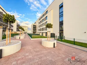 Prodej bytu 2+kk, Plzeň - Jižní Předměstí, Železná, 103 m2