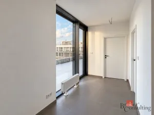 Prodej bytu 2+kk, Plzeň - Jižní Předměstí, Železná, 103 m2