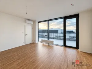 Prodej bytu 2+kk, Plzeň - Jižní Předměstí, Železná, 103 m2