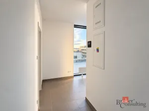 Prodej bytu 2+kk, Plzeň - Jižní Předměstí, Železná, 103 m2