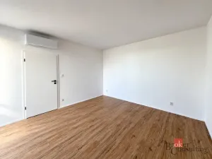 Prodej bytu 2+kk, Plzeň - Jižní Předměstí, Železná, 103 m2