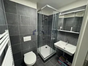 Pronájem bytu 1+kk, Praha, Kubánské náměstí, 19 m2