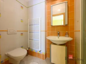 Prodej rodinného domu, Olšany, 240 m2