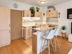 Pronájem bytu 2+kk, Zlín - Příluky, Dřevnická, 57 m2