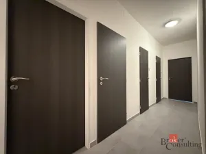 Pronájem bytu 2+1, Plzeň - Lobzy, Dlouhá, 53 m2