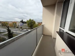 Pronájem bytu 2+1, Plzeň - Lobzy, Dlouhá, 53 m2