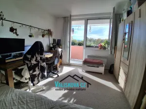 Prodej bytu 1+1, Kroměříž, Denkova, 39 m2
