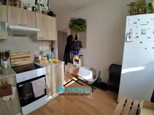 Prodej bytu 1+1, Kroměříž, Denkova, 39 m2