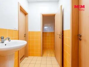 Pronájem obchodního prostoru, Žďár nad Sázavou - Žďár nad Sázavou 1, Brněnská, 1224 m2